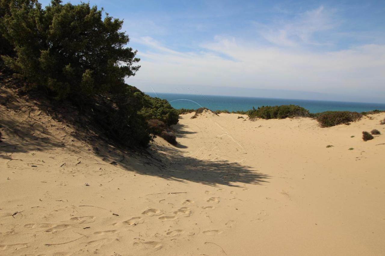 Ampio Appartamento Marina Di อาร์บุส ภายนอก รูปภาพ